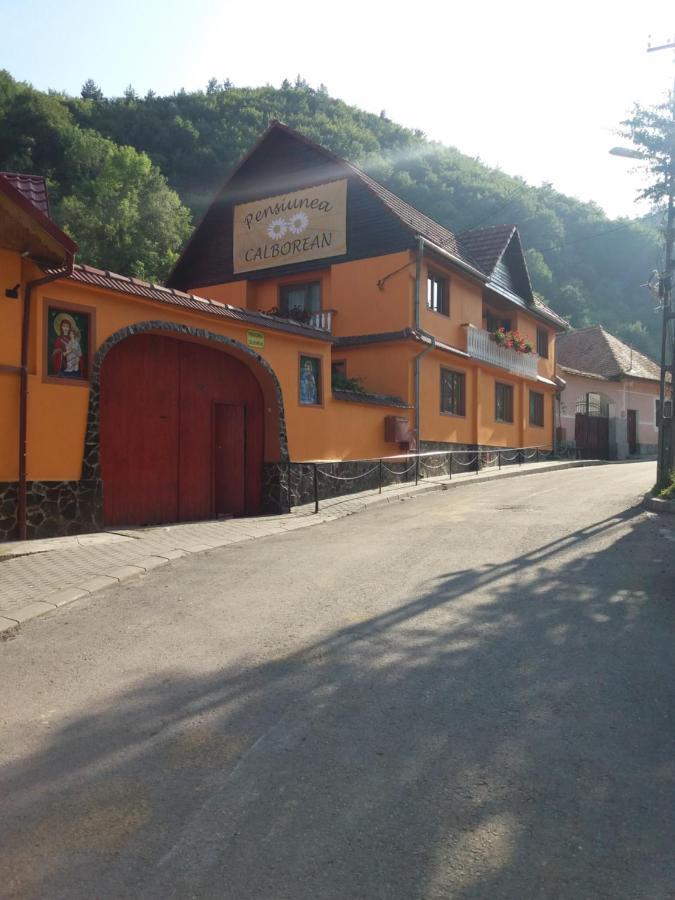 Pension Calborean Tălmaciu Zewnętrze zdjęcie