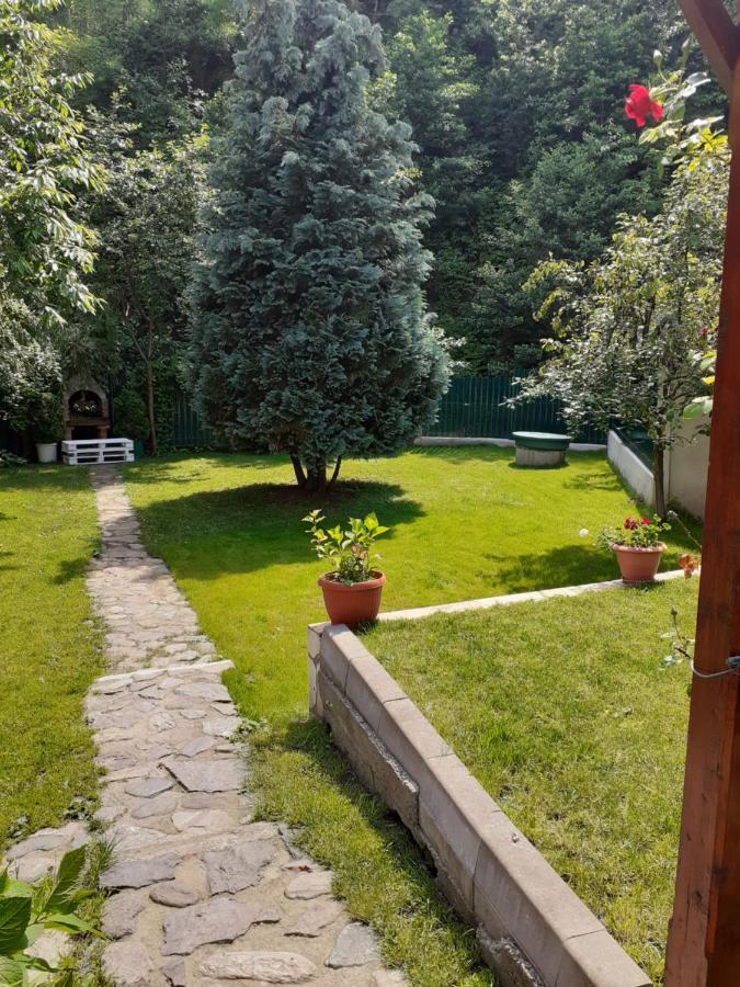 Pension Calborean Tălmaciu Zewnętrze zdjęcie
