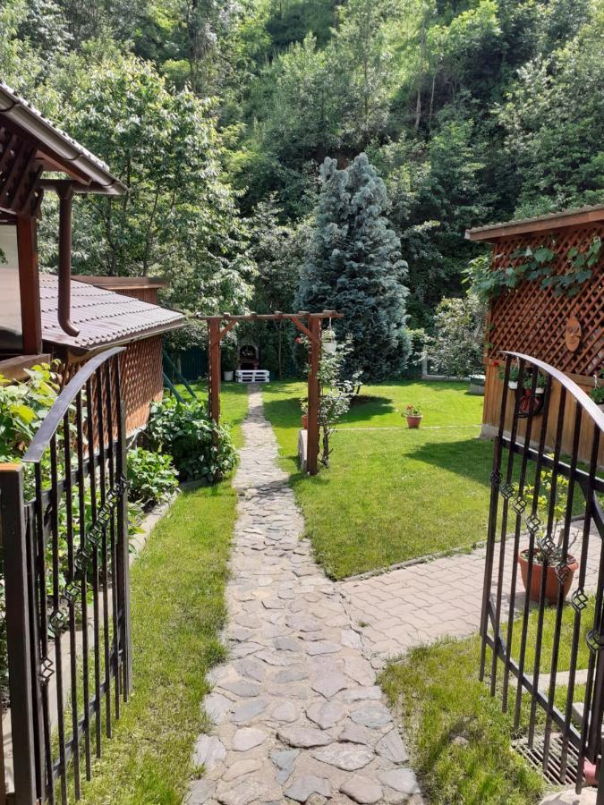 Pension Calborean Tălmaciu Zewnętrze zdjęcie